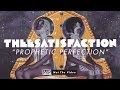 THEESatisfaction  - Prophetic Perfection