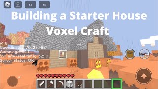 Voxel Craft building a starter house screenshot 5