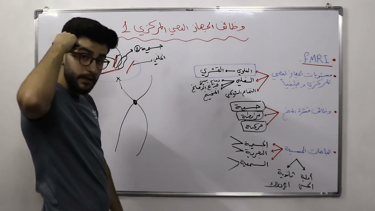 عصبية - وظائف الجهاز العصبي المركزي 1 || علوم بكالوريا سوريا