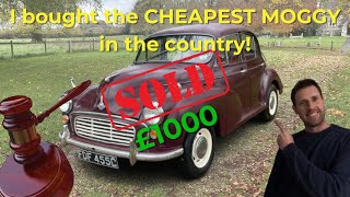 I bought the cheapest Moggy in the country!
