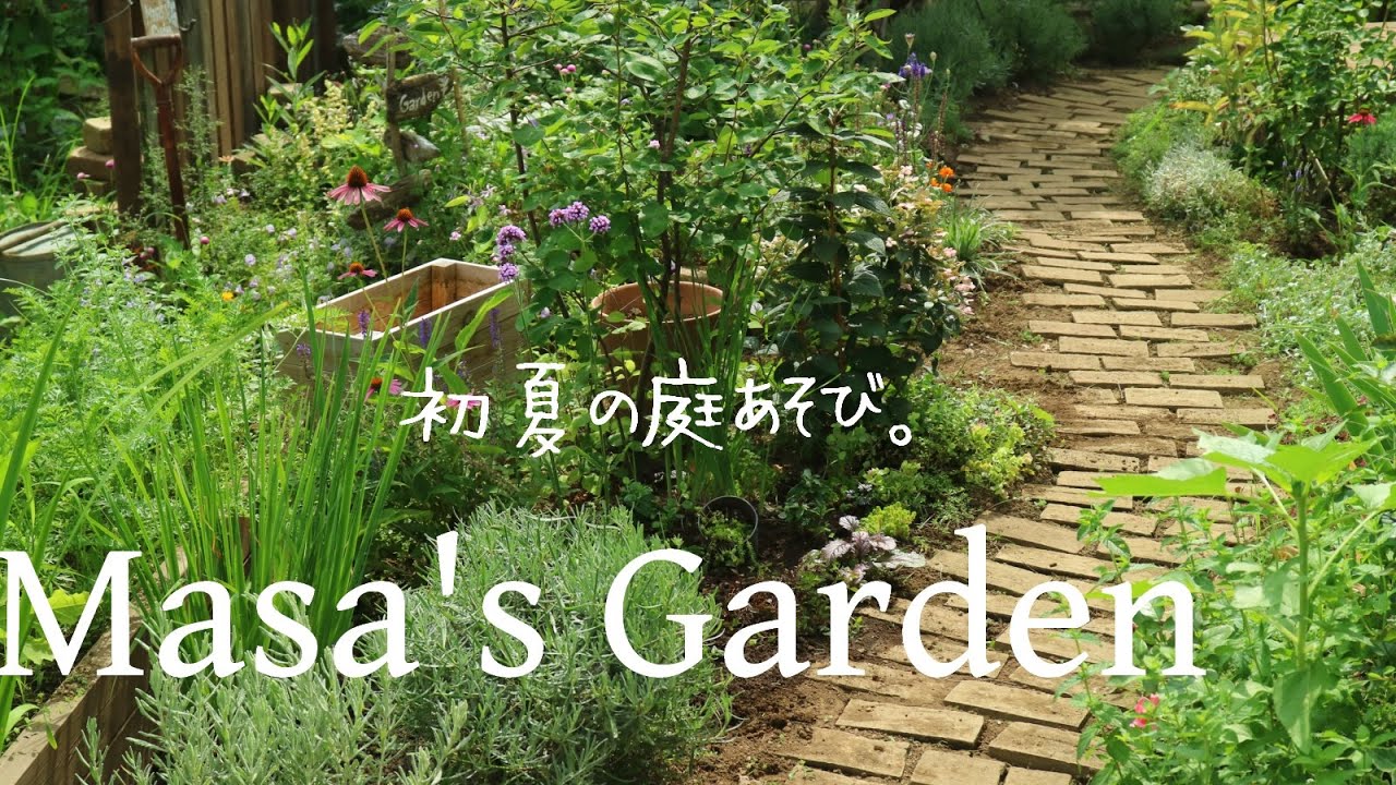 初夏の庭と畑でやったこと サラリーマンの庭あそび ガーデニング Gardening Youtube