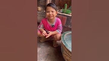 Suri Setup hồ cá cảnh Tuổi Thơ ( tập1)