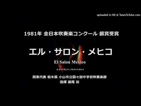 エル・サロン・メヒコ【間々田中】
