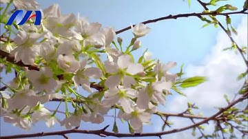 تلاوة عذبه تطفى حزن  القلب