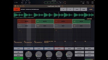 LoopMangler - Drum & Drone