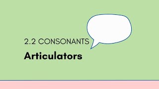 2.2 Consonants - Articulators