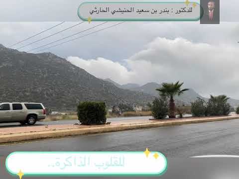 شعر نثري للدكتور بندر بن سعيد بن رده الحنيشي الحارثي طفلة الص ر