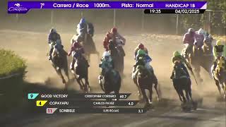 Vidéo de la course PMU GATO CLASICO