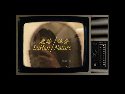 Luhan 鹿晗《体会 Nature 》Cover by 伟亮 WL