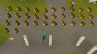 Opening 32 Hard Clue Caskets At Once!!