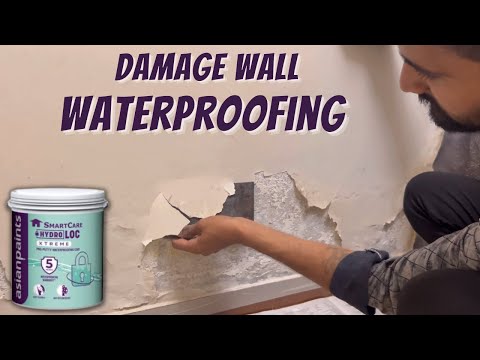 Wall Paint Damage Repair Cost