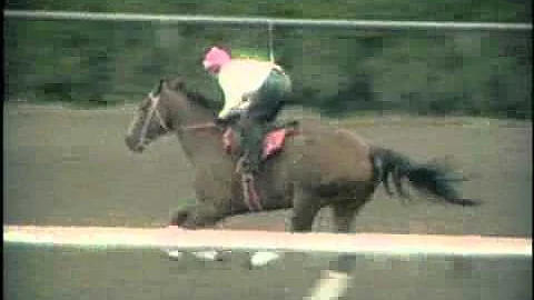 Jennifer Whitaker Longacres Mile