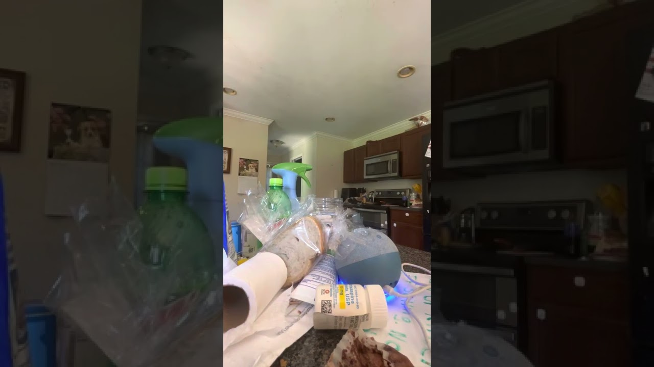 What the heck Is wrong with Alexa￼￼ ￼