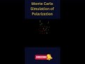 Simulation of Electromagnetic polarization