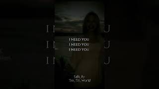 Our Polly Timtinworld