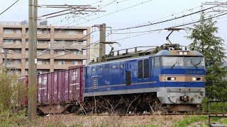 EF510-507牽引高速貨物【4K】信越本線上り3098レ