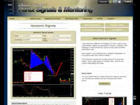 how-to-make-5,000-to-1,000,000-in-30-mintes-|-the-best-forex-ea-ever