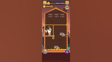 HOME PİN level 264 - how to loot?