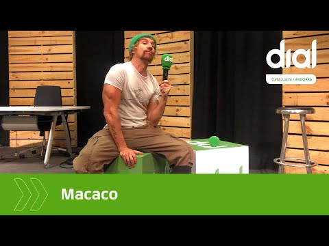 Parlem amb @MACACO del seu nou disc VUELAME EL CORAZÓN i de  la seva col·laboració amb @Ana Mena .