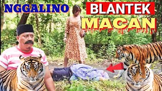 Woko Channel Terbaru Hari Ini 2025 🔵 BLANTEK MACAN 🔵