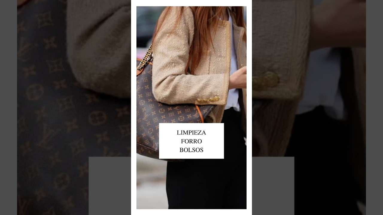 ✨TRUCOS TIP LIMPIEZA interior de los bolsos…