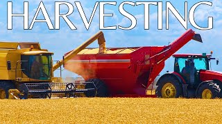 "Mechanical Marvels: Exploring the Incredible World of Big Harvesting Machines"
