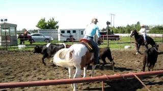 Ranch Sorting 2009