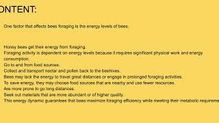 Famous Honey Bee Youtube Project 2024 Net Worth