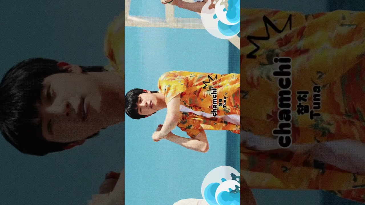 ちゃむち Jin (BTS) - Super Tuna (슈퍼 참치) (Extended Version) [RomIEng