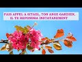 Tuto comment communiquer avec son ange gardien sitael pour la prosperite et amour