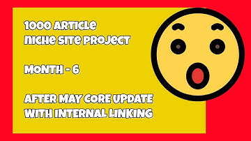 1000 Niche Site - Month 6 - What I did AFTER May Core Update - Does Internal Linking Help SEO?