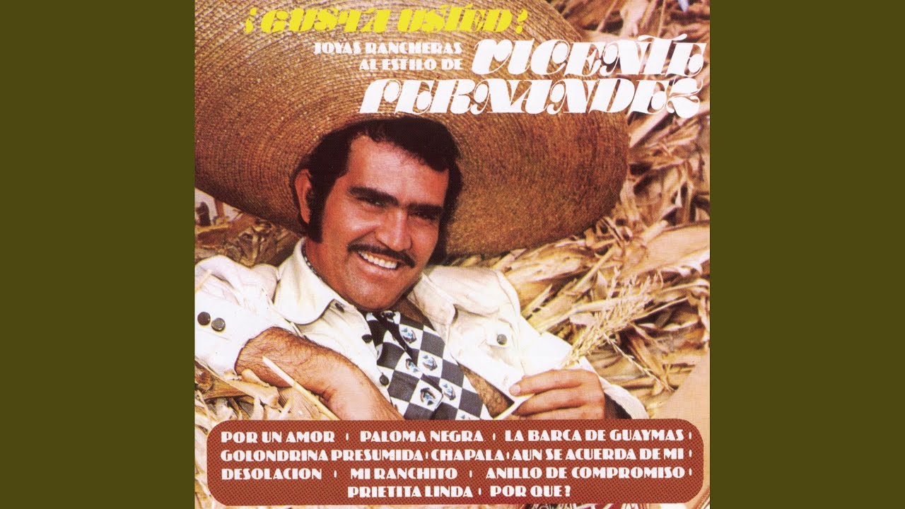 Golondrina Presumida