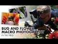 Flower and Bug Macro Photography In The Field | Macro Photography