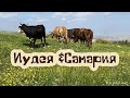 ИУДЕЯ И САМАРИЯ (ЗАПАДНЫЙ БЕРЕГ)