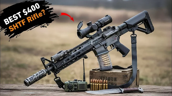 The 8 Budget AR-15 Rifle Built For Real SHTF Survival!