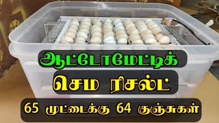 நல்ல ரிசல்ட்....120 முட்டை ஆட்டோமேட்டிக் இங்குபேட்டர்... call - 9626554587