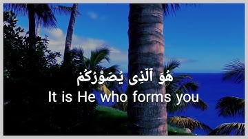 حالات واتس اب ⬛ قران كريم بصوت جميل قران راحه نفسيه تلاوة هادئة 🤲