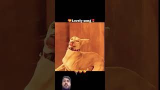 #viralmoviesho rts #dog #funnydoglov #clips #shorts #viral #love #animals @funnymovie193