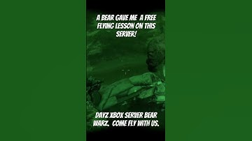 Bears give free flying lessons on this server.