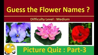 Guess the Flower name with answers (1) : GK MCQ Picture Quiz (Part-3) screenshot 3