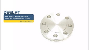Blind Flange - Nominal Pipe Size 2" - Class 300 - Stainless Steel - F316/316L     SKU #D1149999