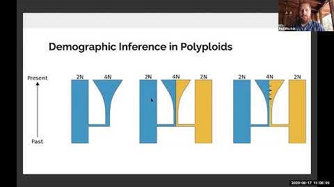 Polyploidy Webinar 17 August 2020