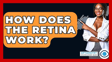 How Does The Retina Work? - Optometry Knowledge Base