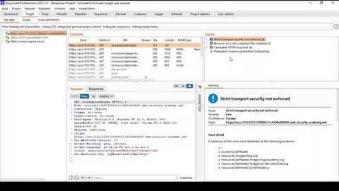 Hacking Web Application With Burp Suite - Target Tab