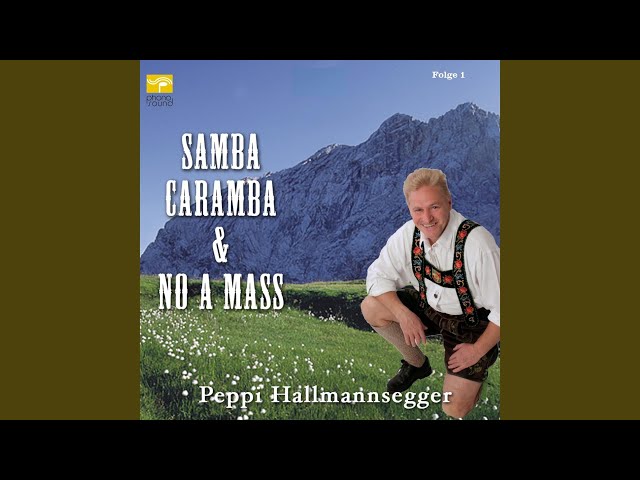 Peppi Hallmannsegger - A frische Maß