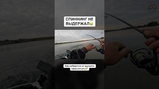 ЩУКА СЛОМАЛА СПИННИНГ #рыбалка #спиннинг #ржака #щука #поклевка #юмор #рекомендации