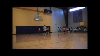 NYS Wildcats Basketball Team Highlights  - Spring 2010