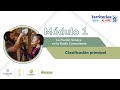 Radionovela - Clasificación principal