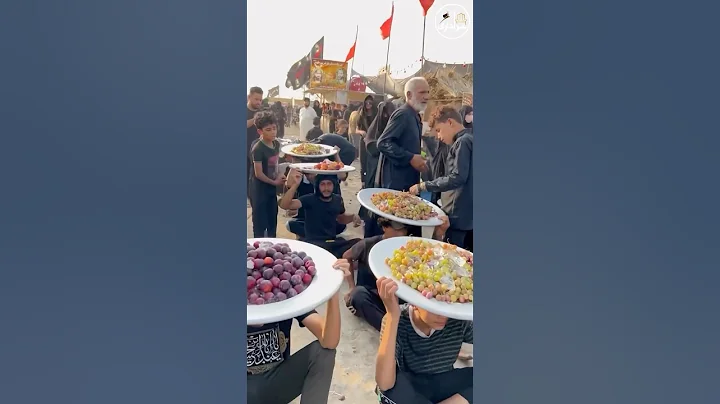 Najaf To Karbala Walk | Arbaeen Walk | Safar E Ishq | Arbaeen | 2024 / 1446H #karbala #iraq #najaf