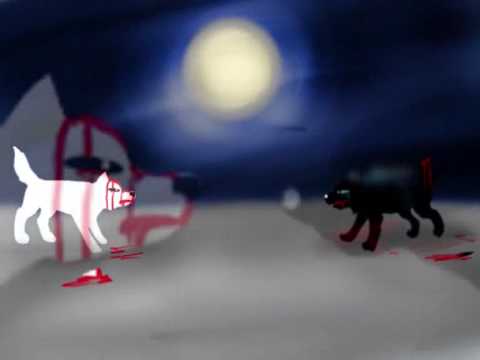 Wolf Fight (animation) Black VS White - YouTube